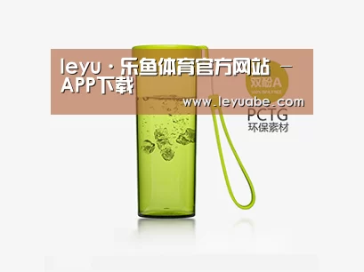 产品展示标题三