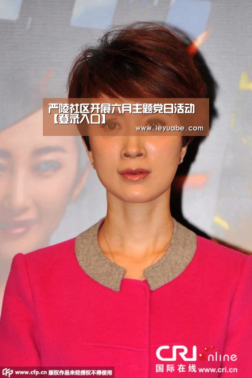 登录入口
