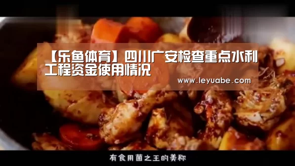【乐鱼体育】四川广安检查重点水利工程资金使用情况(图1) 乐鱼体育