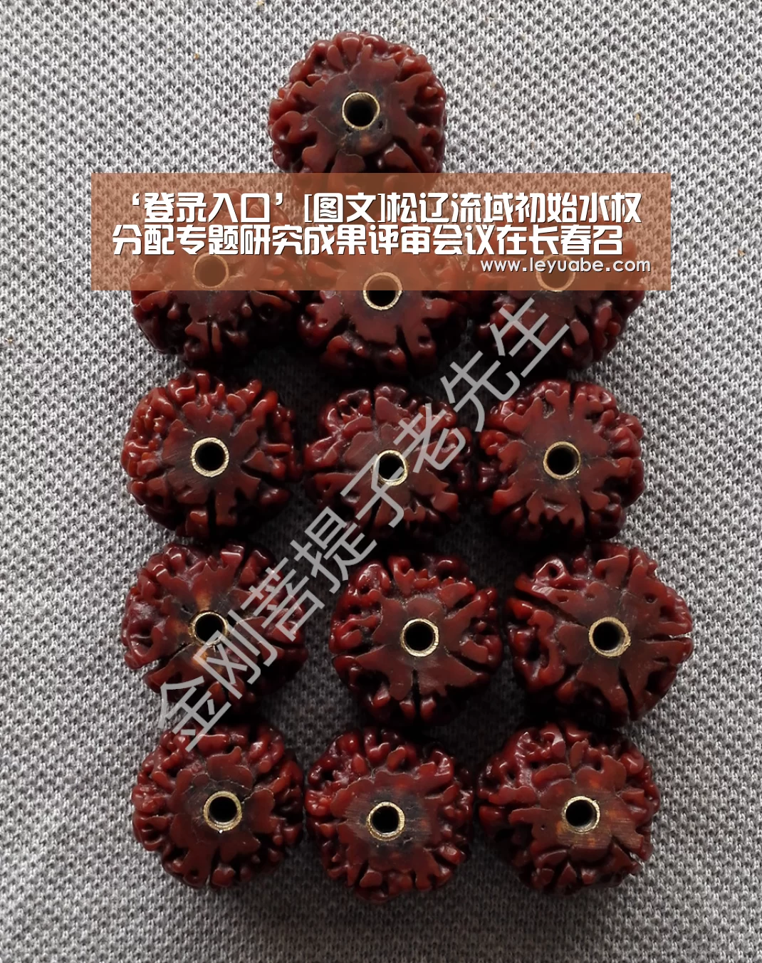 乐鱼体育