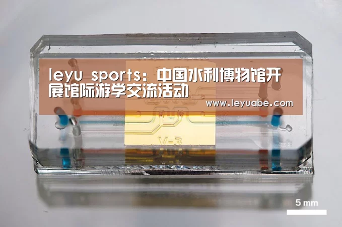 leyu sports