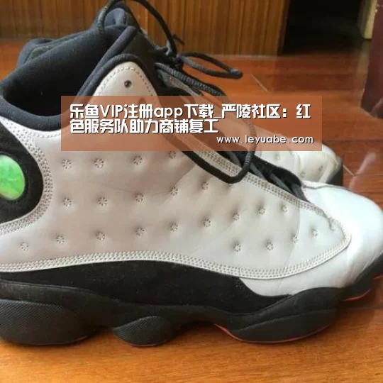 乐鱼VIP注册app下载_严陵社区:红色服务队助力商铺复工(图1) 登录入口
