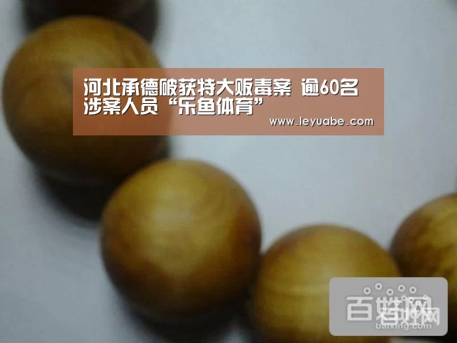 河北承德破获特大贩毒案 逾60名涉案人员“乐鱼体育”(图4) 登录入口