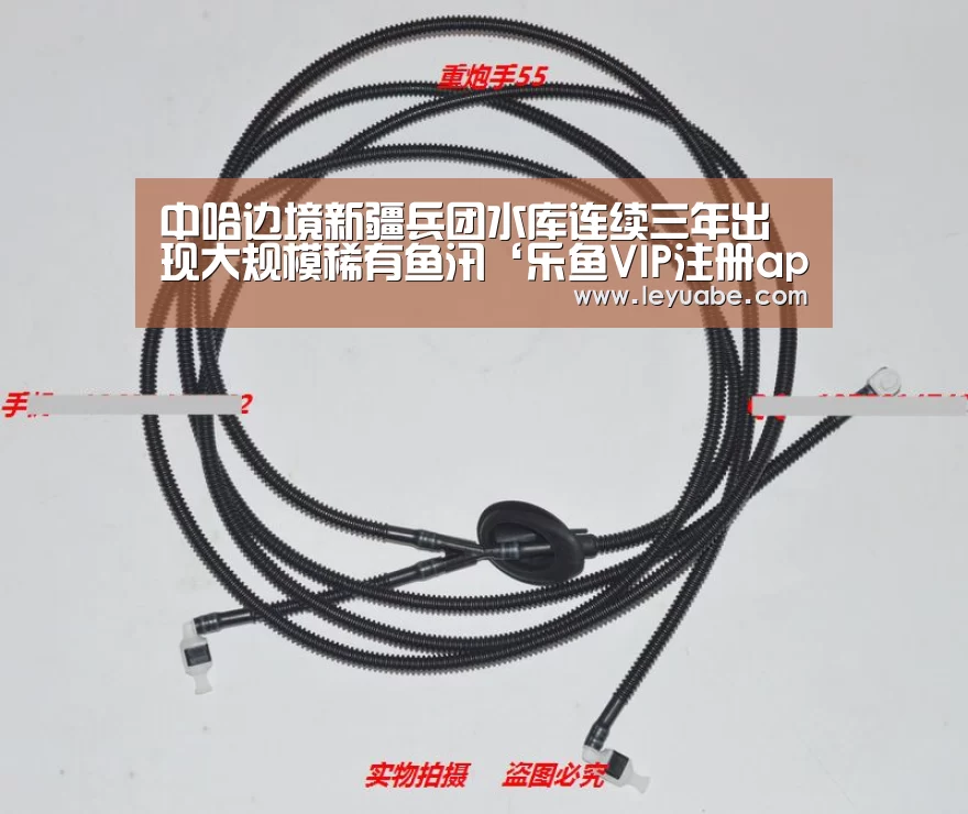 中哈边境新疆兵团水库连续三年出现大规模稀有鱼汛‘乐鱼VIP注册app下载’(图1) 登录入口