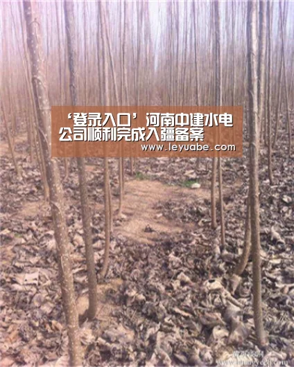 登录入口