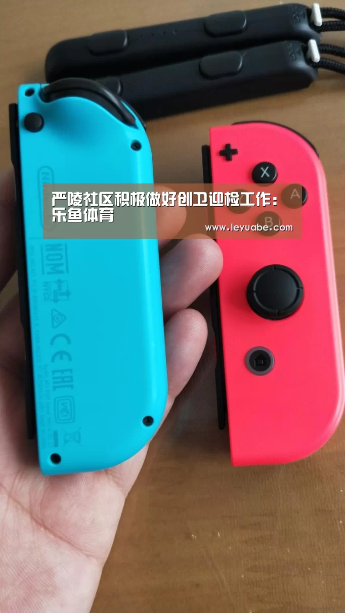 严陵社区积极做好创卫迎检工作:乐鱼体育(图1) 登录入口