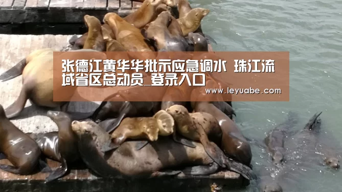 登录入口