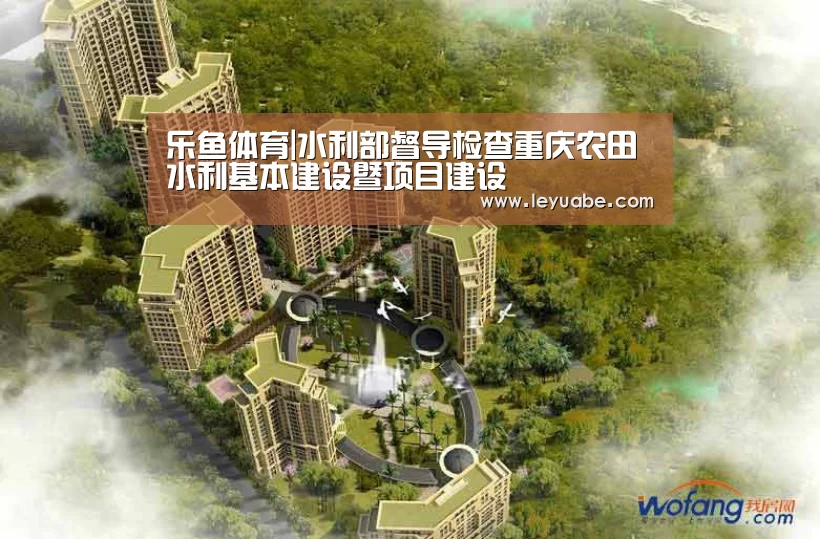 乐鱼体育|水利部督导检查重庆农田水利基本建设暨项目建设(图3) 乐鱼VIP注册app下载