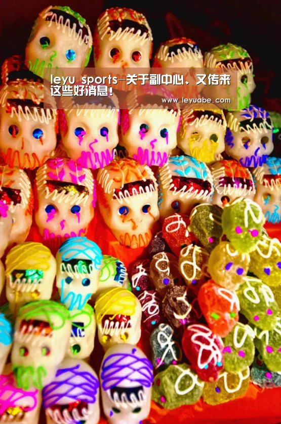登录入口