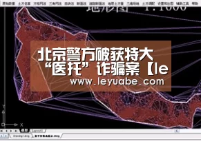 北京警方破获特大“医托”诈骗案【leyu sports】(图1) 乐鱼体育