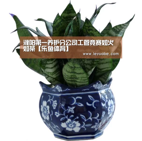 濮阳第一养护分公司工管竞赛如火如荼【乐鱼体育】(图1) 乐鱼VIP注册app下载