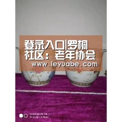 登录入口|罗桐社区:老年协会助力文创工作(图1) leyu sports
