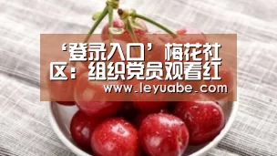 ‘登录入口’梅花社区:组织党员观看红色电影《建军大业》(图4) leyu sports